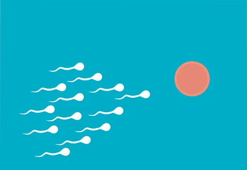 Sperma